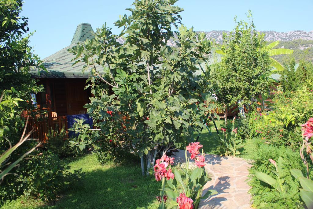 Cirali Armira Bungalow Værelse billede